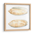 Cáscaras De Acuarela V - Megan Meagher | Cuadro decorativo de Canvas Lab
