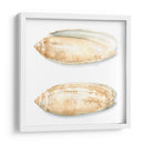 Cáscaras De Acuarela V - Megan Meagher | Cuadro decorativo de Canvas Lab