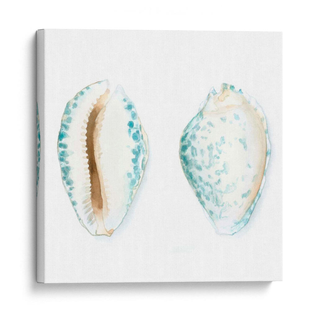 Conchas De Acuarela Vi - Megan Meagher | Cuadro decorativo de Canvas Lab