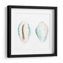 Conchas De Acuarela Vi - Megan Meagher | Cuadro decorativo de Canvas Lab