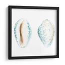 Conchas De Acuarela Vi - Megan Meagher | Cuadro decorativo de Canvas Lab