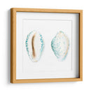 Conchas De Acuarela Vi - Megan Meagher | Cuadro decorativo de Canvas Lab