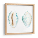 Conchas De Acuarela Vi - Megan Meagher | Cuadro decorativo de Canvas Lab