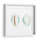 Conchas De Acuarela Vi - Megan Meagher | Cuadro decorativo de Canvas Lab