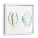 Conchas De Acuarela Vi - Megan Meagher | Cuadro decorativo de Canvas Lab