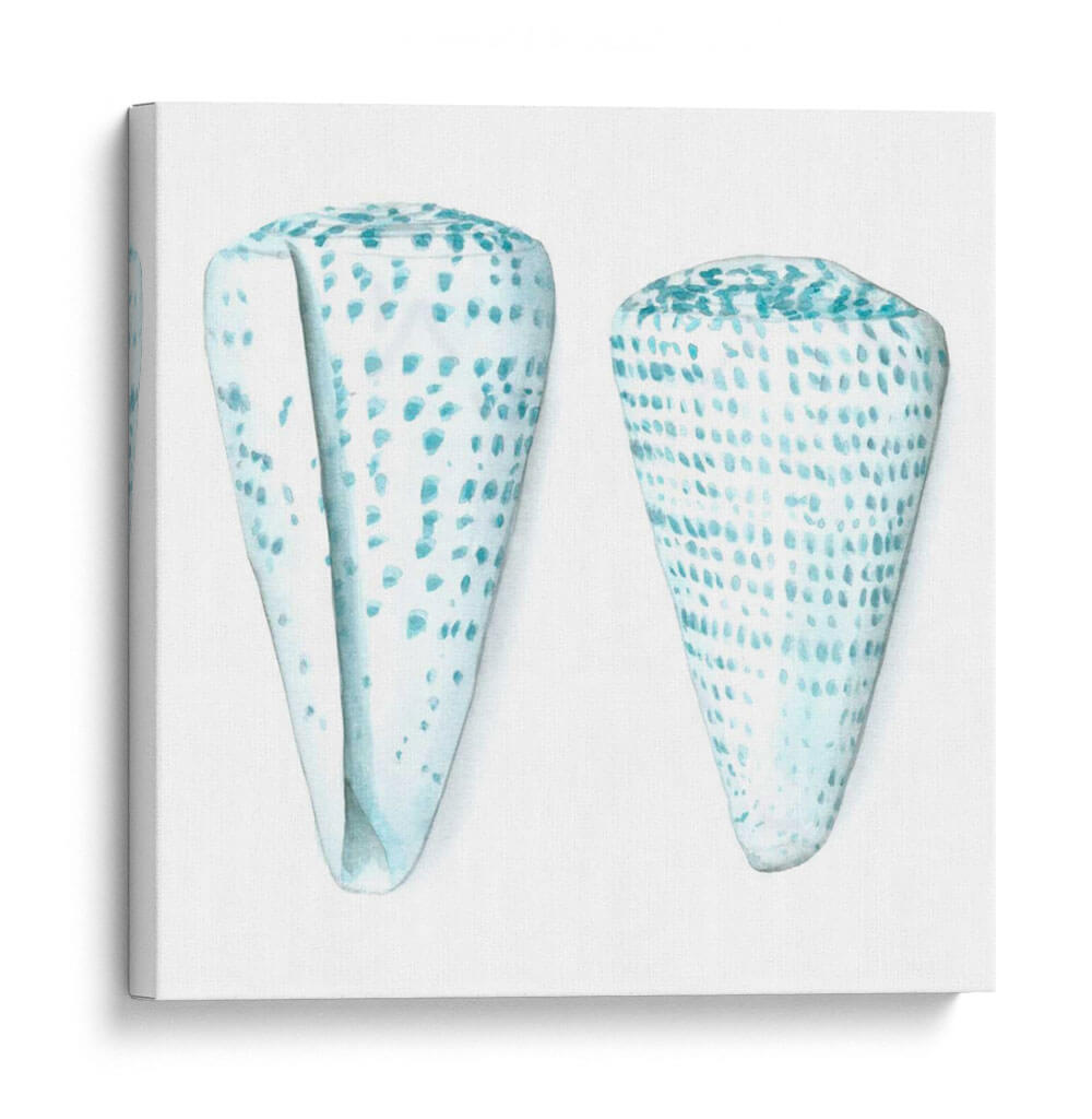 Conchas De Acuarela Viii - Megan Meagher | Cuadro decorativo de Canvas Lab