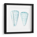 Conchas De Acuarela Viii - Megan Meagher | Cuadro decorativo de Canvas Lab