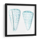 Conchas De Acuarela Viii - Megan Meagher | Cuadro decorativo de Canvas Lab