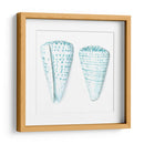 Conchas De Acuarela Viii - Megan Meagher | Cuadro decorativo de Canvas Lab