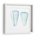 Conchas De Acuarela Viii - Megan Meagher | Cuadro decorativo de Canvas Lab