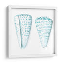 Conchas De Acuarela Viii - Megan Meagher | Cuadro decorativo de Canvas Lab