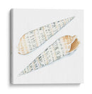 Conchas De Acuarela Ix - Megan Meagher | Cuadro decorativo de Canvas Lab