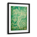 Sealife I - John Butler | Cuadro decorativo de Canvas Lab