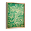 Sealife I - John Butler | Cuadro decorativo de Canvas Lab