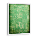 Sealife Ii - John Butler | Cuadro decorativo de Canvas Lab