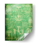 Sealife Ii - John Butler | Cuadro decorativo de Canvas Lab