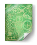 Sealife Iii - John Butler | Cuadro decorativo de Canvas Lab