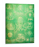 Sealife Iv - John Butler | Cuadro decorativo de Canvas Lab