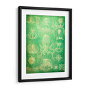 Sealife Iv - John Butler | Cuadro decorativo de Canvas Lab