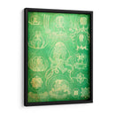 Sealife Iv - John Butler | Cuadro decorativo de Canvas Lab