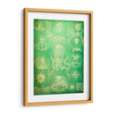 Sealife Iv - John Butler | Cuadro decorativo de Canvas Lab