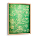 Sealife Iv - John Butler | Cuadro decorativo de Canvas Lab