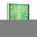 Sealife Iv - John Butler | Cuadro decorativo de Canvas Lab