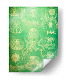 Sealife Iv - John Butler | Cuadro decorativo de Canvas Lab