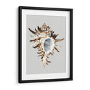 Murex Negro - Michael Willett | Cuadro decorativo de Canvas Lab