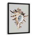 Murex Negro - Michael Willett | Cuadro decorativo de Canvas Lab