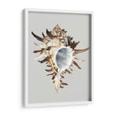 Murex Negro - Michael Willett | Cuadro decorativo de Canvas Lab