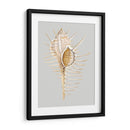 Espineoso Murex - Michael Willett | Cuadro decorativo de Canvas Lab