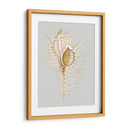 Espineoso Murex - Michael Willett | Cuadro decorativo de Canvas Lab