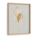 Espineoso Murex - Michael Willett | Cuadro decorativo de Canvas Lab