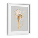 Espineoso Murex - Michael Willett | Cuadro decorativo de Canvas Lab