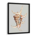 Concha Araña - Michael Willett | Cuadro decorativo de Canvas Lab
