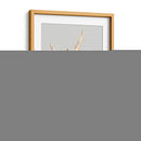 Concha Araña - Michael Willett | Cuadro decorativo de Canvas Lab