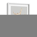 Concha Araña - Michael Willett | Cuadro decorativo de Canvas Lab