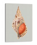 Tritón Gigante - Michael Willett | Cuadro decorativo de Canvas Lab