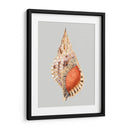 Tritón Gigante - Michael Willett | Cuadro decorativo de Canvas Lab