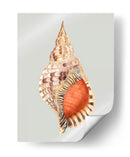 Tritón Gigante - Michael Willett | Cuadro decorativo de Canvas Lab