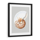 Nautilo - Michael Willett | Cuadro decorativo de Canvas Lab