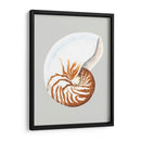 Nautilo - Michael Willett | Cuadro decorativo de Canvas Lab