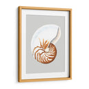 Nautilo - Michael Willett | Cuadro decorativo de Canvas Lab