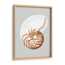 Nautilo - Michael Willett | Cuadro decorativo de Canvas Lab