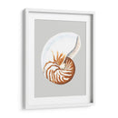 Nautilo - Michael Willett | Cuadro decorativo de Canvas Lab