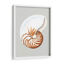Nautilo - Michael Willett | Cuadro decorativo de Canvas Lab