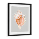 Murex Rosa - Michael Willett | Cuadro decorativo de Canvas Lab