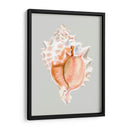 Murex Rosa - Michael Willett | Cuadro decorativo de Canvas Lab