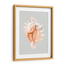 Murex Rosa - Michael Willett | Cuadro decorativo de Canvas Lab